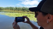 3 Days Private Tour to Danube Delta from Bucharest