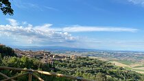 Day of Tastings in the Land of Super Tuscans from Lucca