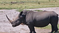 2 Nights & 3 Day Kruger National Park Safari & Panorama Route 