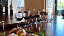 Private Douro Valley Winery Tour and River Cruise w/ Mercedes SUV
