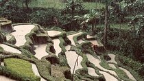 Ubud Top Tours to Discover Bali’s Cultural and Natural Wonders
