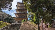 Historical Tour From Kanazawa: Beaches, Temples & Aliens in Hakui