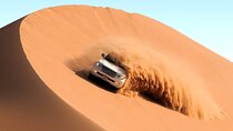 Dubai Dunes Safari, Camel Ride, Shows and BBQ Dinner