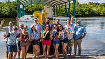 Clearwater Island Hop and Dolphin Watch with Swimming