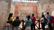 Pompeii Vesuvius Day Tour from Naples with Italian Lunch and Wine