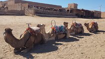 Private Excursion in the Agafay Desert