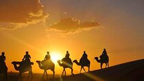 Camel Ride at Marrakech Desert Agafy with Dinner
