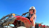 Desert Safari