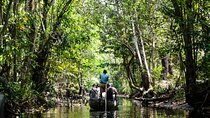 Half Day Village Houseboat Tour (from Cruise terminal in Kochi)