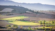 Private Tour to Logroño and Two Wineries from San Sebastian