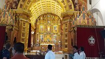 Private Tour to Kochi Suburbs Virgin Hot Spots: Free Pick & Drop