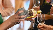 La Rioja Private Tour to 3 wineries from San Sebastian