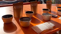 Roast Specialty Coffee with Guided Tasting