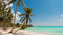 Saona full day with Food and drinks