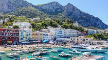Land and Sea Small Group Capri Island Tour from Naples Main Port