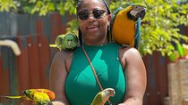 Bamboo Rafting Limestone Massage, Exotic bird and Herb Farm Tour