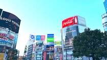 Private, personalized tour of Tokyo with a guide in Spanish