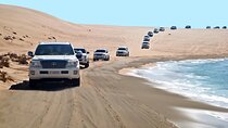 Private Half Day Desert Safari