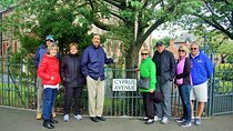 Belfast private 4 hour tour highlights Titanic,Derry girls,GOT
