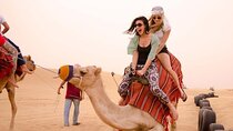 3-Hour Quad Ride with Camel Ride