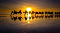 Sunset Camel Ride on Achakkar Beach