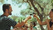 LUXURY PRIVATE Wine Tasting in CRETE (also for CRUISE SHIPS)