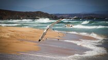 Marine life & flavors of the Pacific Full Day Private Tour