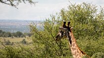 Daan Viljoen Sunrise Private Tour: A Wildlife Discovery Hike