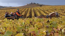 Full Day All-inclusive Tour in Champagne from Paris in a Minivan