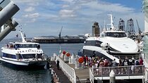 Private Tour of Robben Island e Nelson Mandela's Legacy