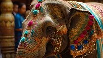 South India By Car & Driver: Tamil Nadu, Kerala and Karnataka ! 