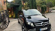 Private Tour in Toledo 8 hours with private guide and driver