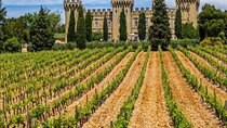  Châteauneuf du Pape Wine Private Tasting Tour From Marseille