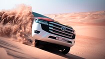 Liwa Oasis Desert Drive from Abu Dhabi
