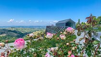 Private Full Day tour with fellow foodie as your guide