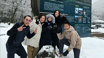 Jeju Taxi Tour KJ with Flexible scheduling
