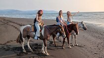 Horseback Riding in Tarcoles Garabito, a Life Experience.