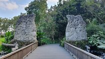 Half Day Ubud Village Private All Inclusive Tour