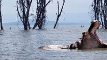 Nairobi Day Trip To Crescent Island Game Park from Lake Naivasha