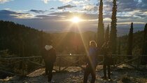 Athens Sunset Hymettus Mountain Hike