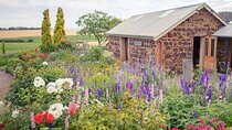 McLaren Vale Private Wine Tour