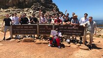  Cape Peninsula penguins, seals and wine Tasting Sharing Tour