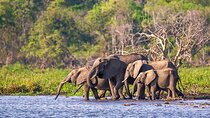 4 Days Akagera Wildlife and Bwindi Gorilla trek 