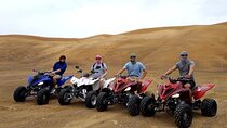 Agadir:Quad Biking Explore Forest & sand Dunes 