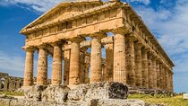 Paestum Temple Tour with Buffalo Mozzarella Class