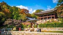 Seoul: Your Private Custom Tour – Half/Full/Outskirts
