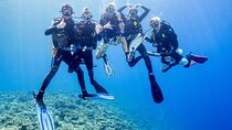 Diving and Snorkeling Day Trip By VIP Boat In Hurghada