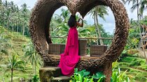 Exotic Ubud Tour including Jungle Swing Experience
