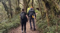 Private One-Day Trek to Mount Kilimanjaro