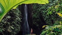 Bali : Northern Bali Private Day Trip with Transfer